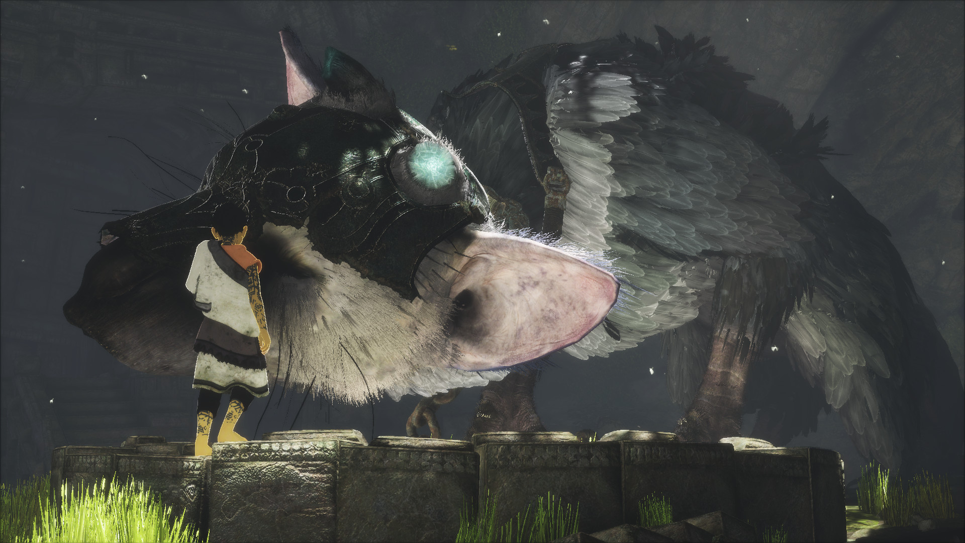 Trico, The Last Guardian, Ragazzo, Notte, Full HD, sfondo desktop