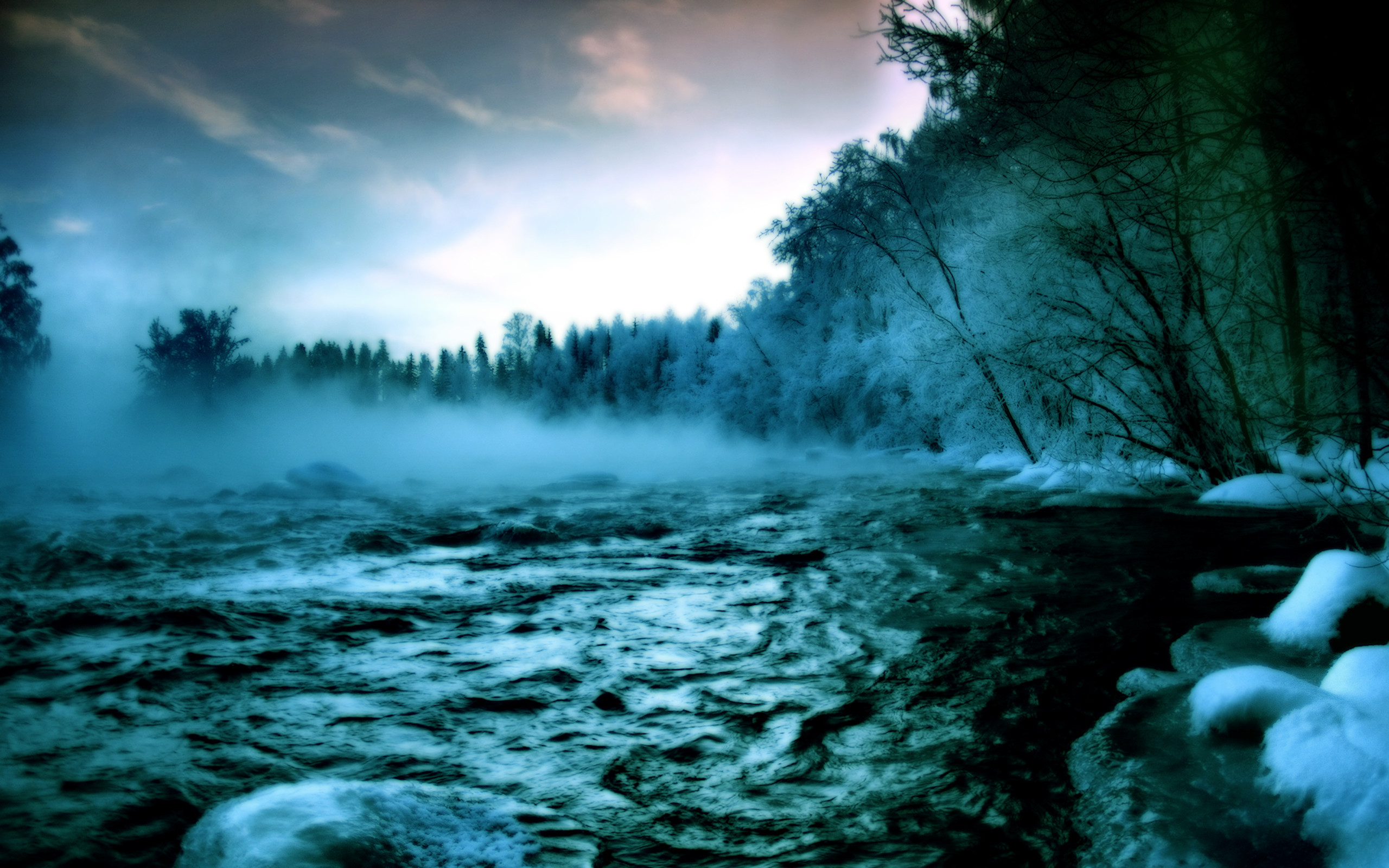 Fiume, Nebbia, Bosco, Inverno, 2K, sfondo per PC e portatile