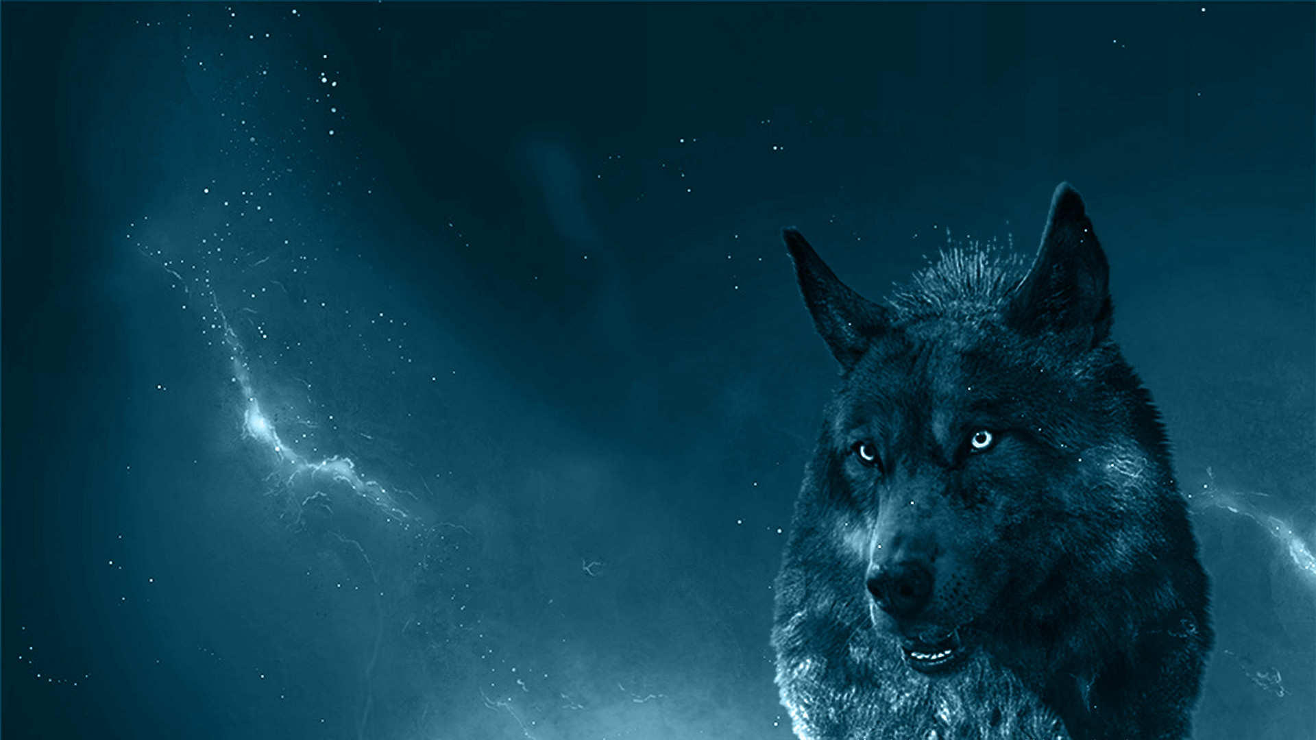 Lupo, Cielo stellato, Blu, Arte digitale, 1920x1080, sfondo per PC