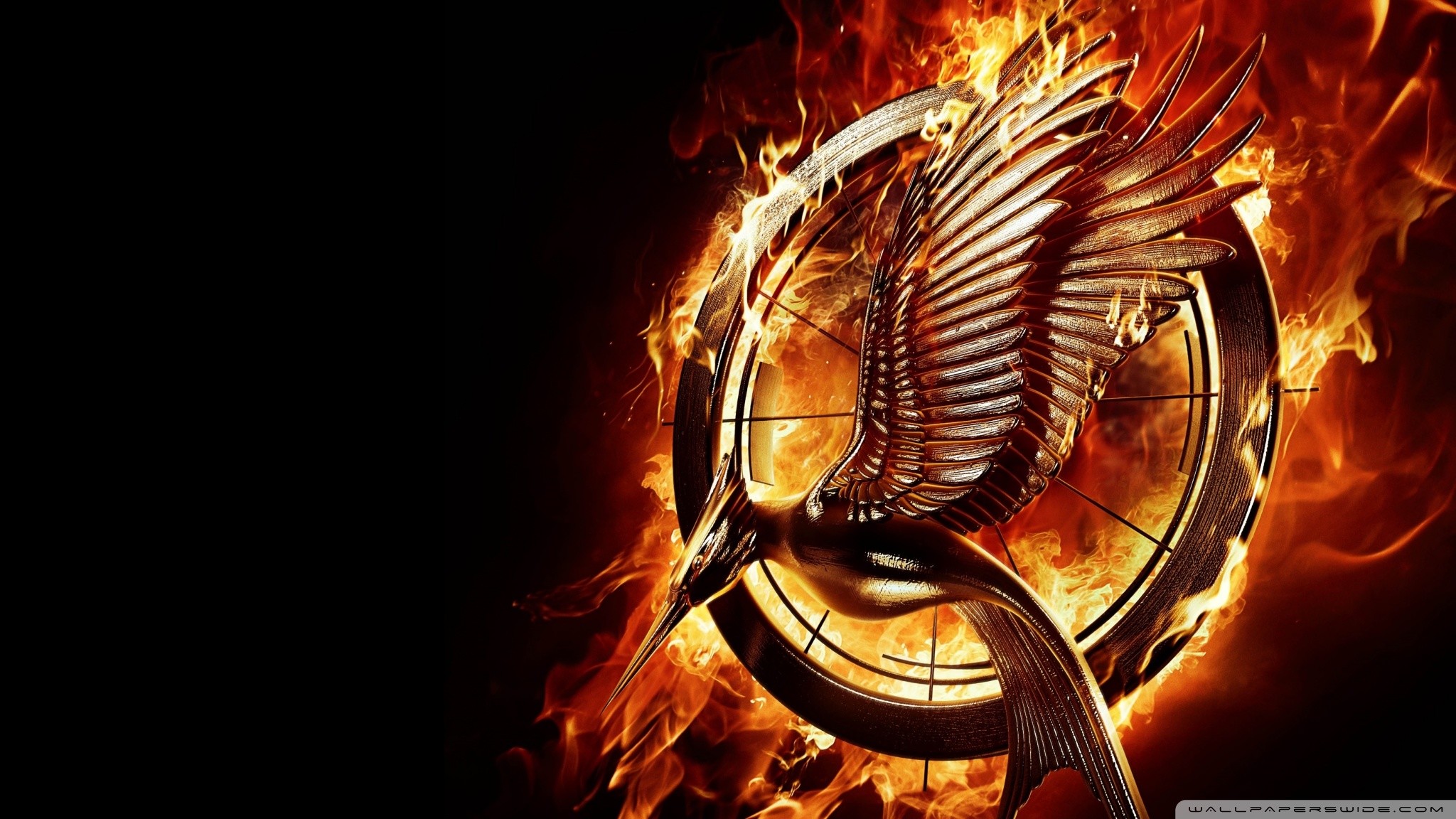 Hunger Games: La ragazza di fuoco, Ghiandaia imitatrice, Fuoco, 16:9 Full HD, sfondo widescreen