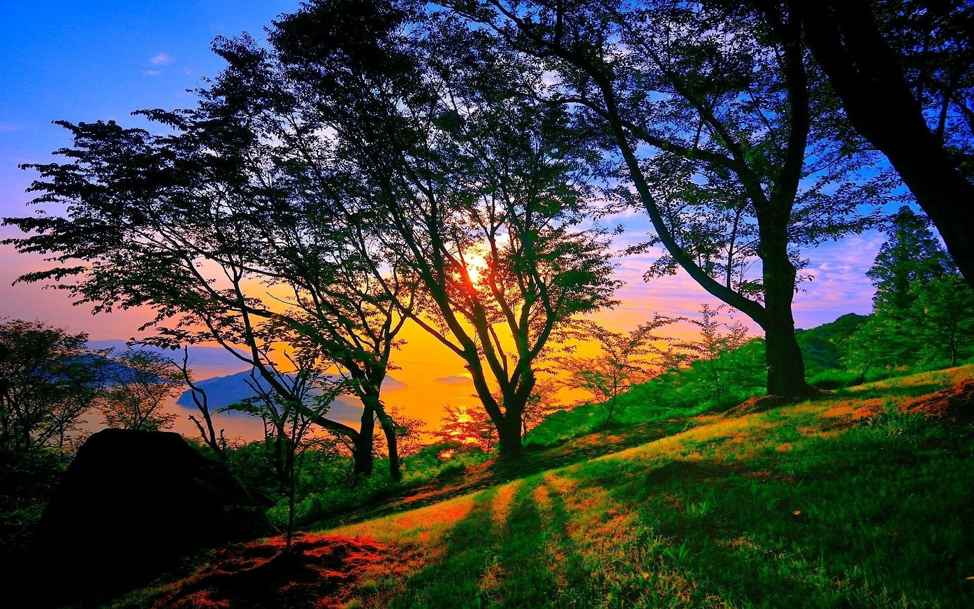 Alberi, Tramonto, Collina, Ombre, 1920x1200, immagine di sfondo