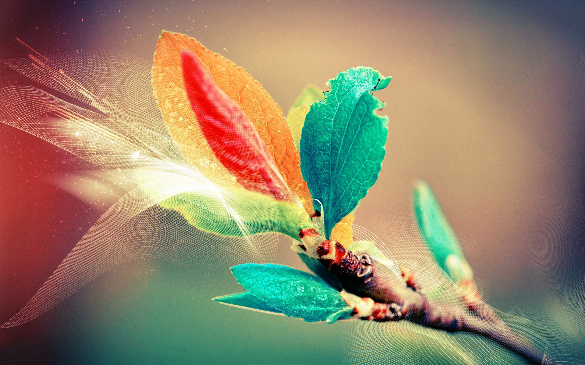 Foglie, Ramo, Macro, Arte digitale, 16:10 Full HD, sfondo widescreen