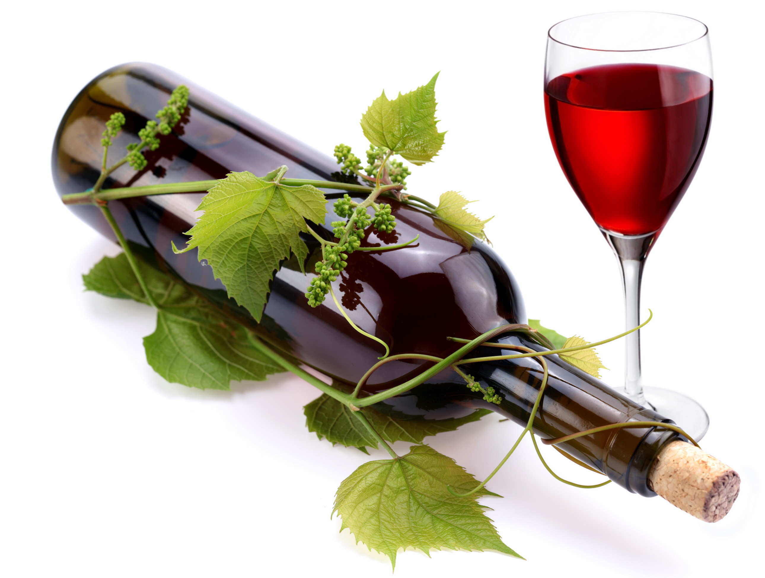 Bottiglia di vino, Calice di vino rosso, Foglie di vite, Sfondo bianco, schermata Home iPad