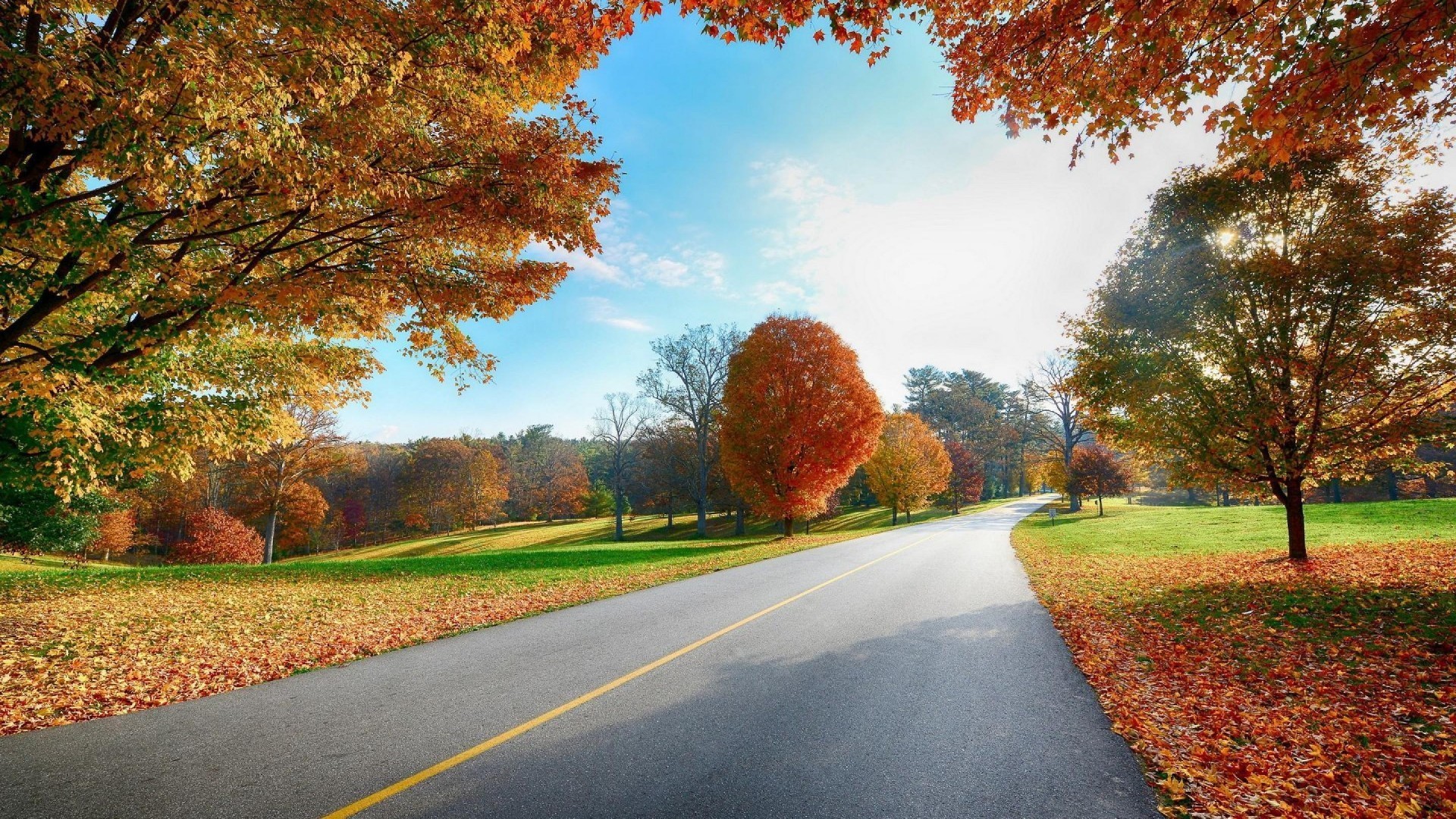 Autunno, Strada, Alberi, Foglie rosse, 16:9 Full HD, sfondo widescreen