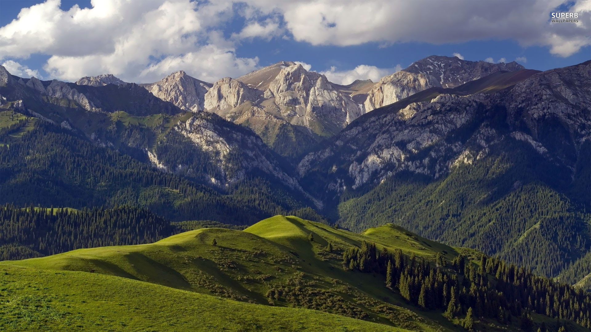 Catena montuosa, Colline verdi, Foresta, Vette rocciose, Nuvole, sfondo desktop 1920x1080