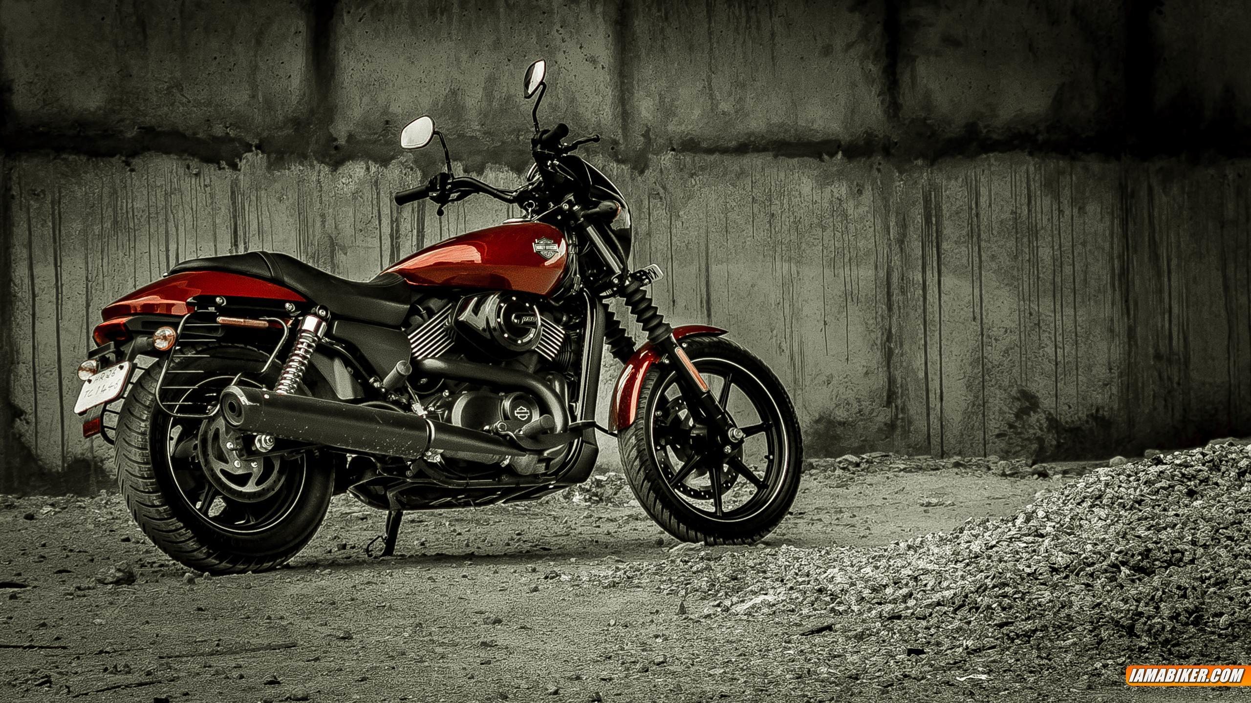 Harley-Davidson Street 750, Moto, Muro di cemento, Colore selettivo, sfondo per portatile