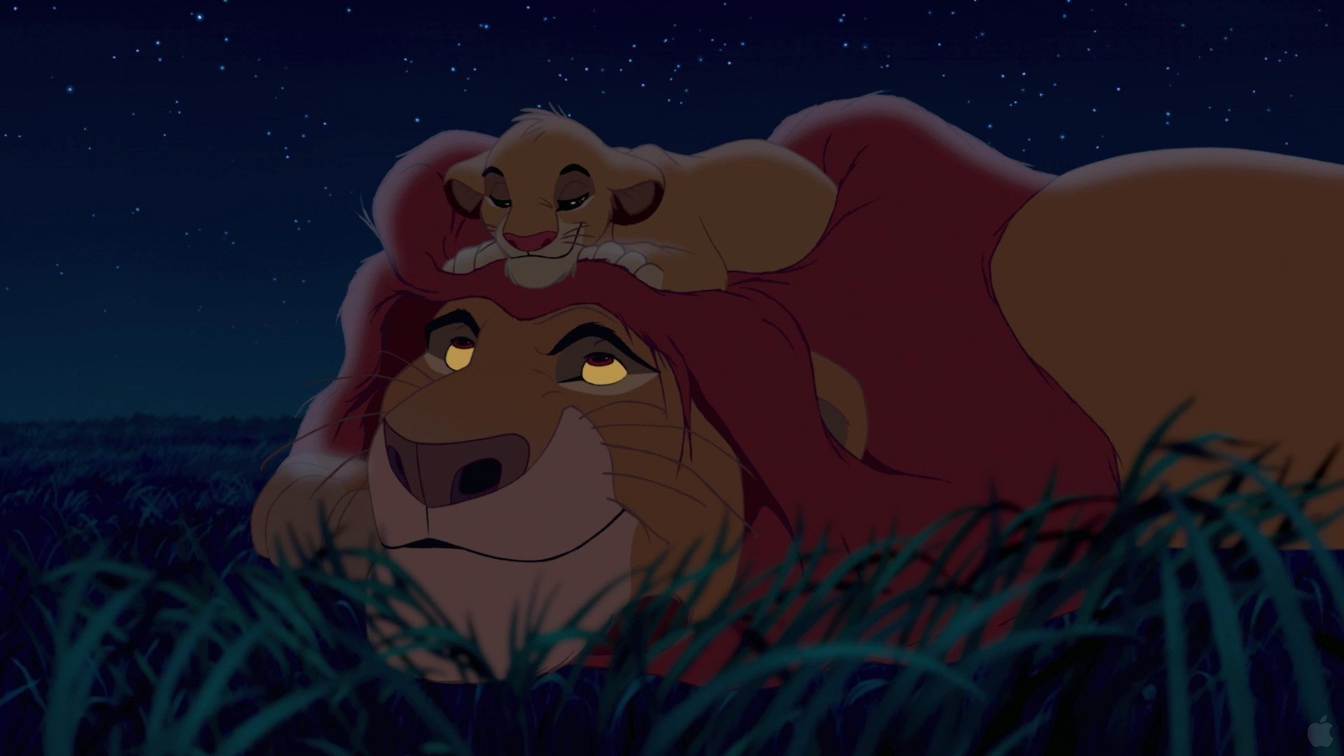Il re leone, Mufasa, Simba, Disney, Notte, 1920x1080, immagine di sfondo