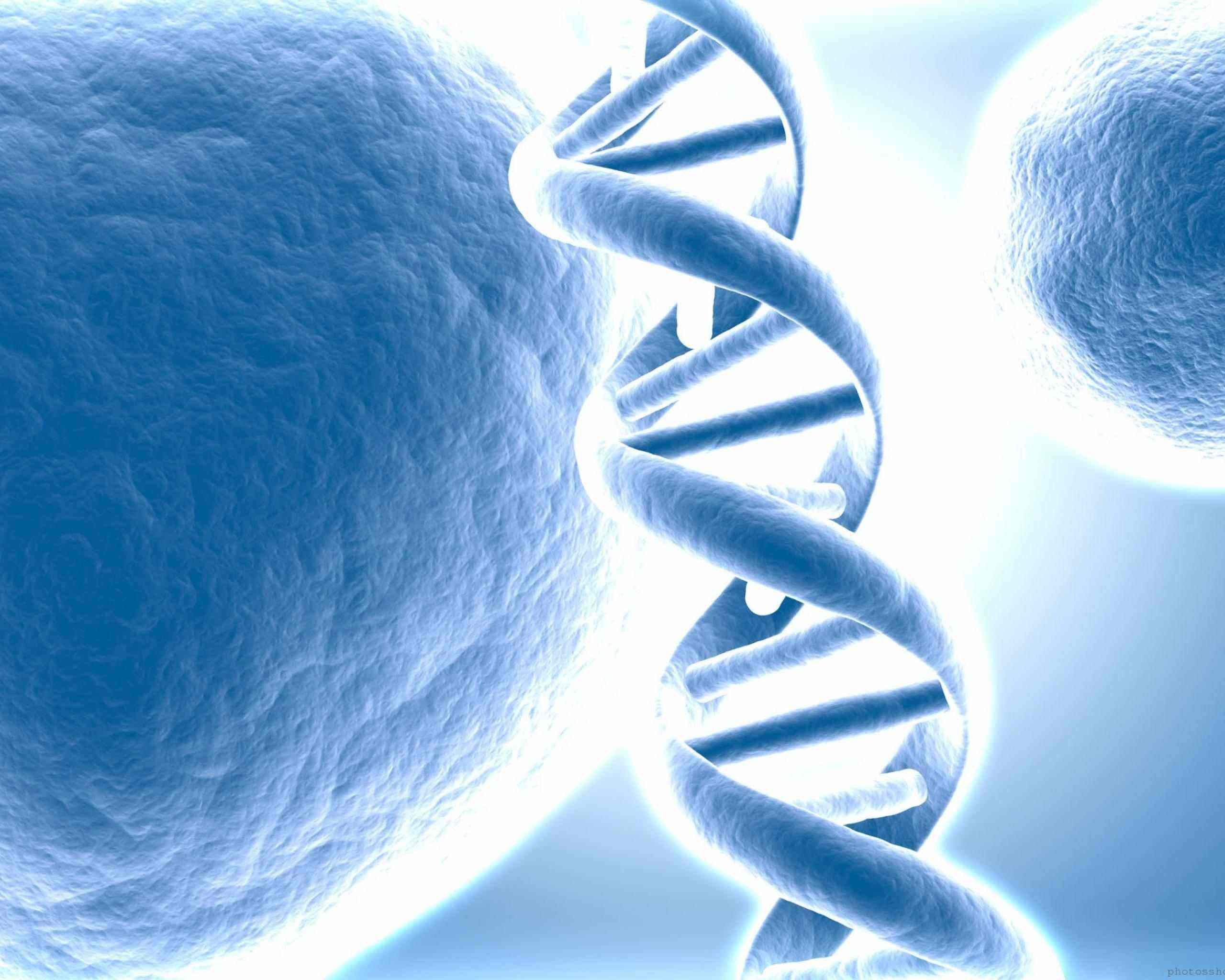 DNA, Cellule, Azzurro, 2K, sfondo per portatile