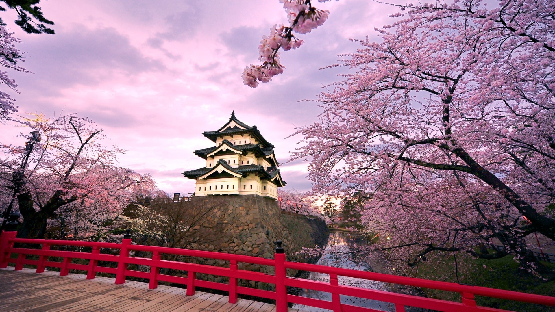 Castello di Hirosaki, Ciliegi in fiore, Sakura, Ponte rosso, Primavera, wallpaper desktop Full HD