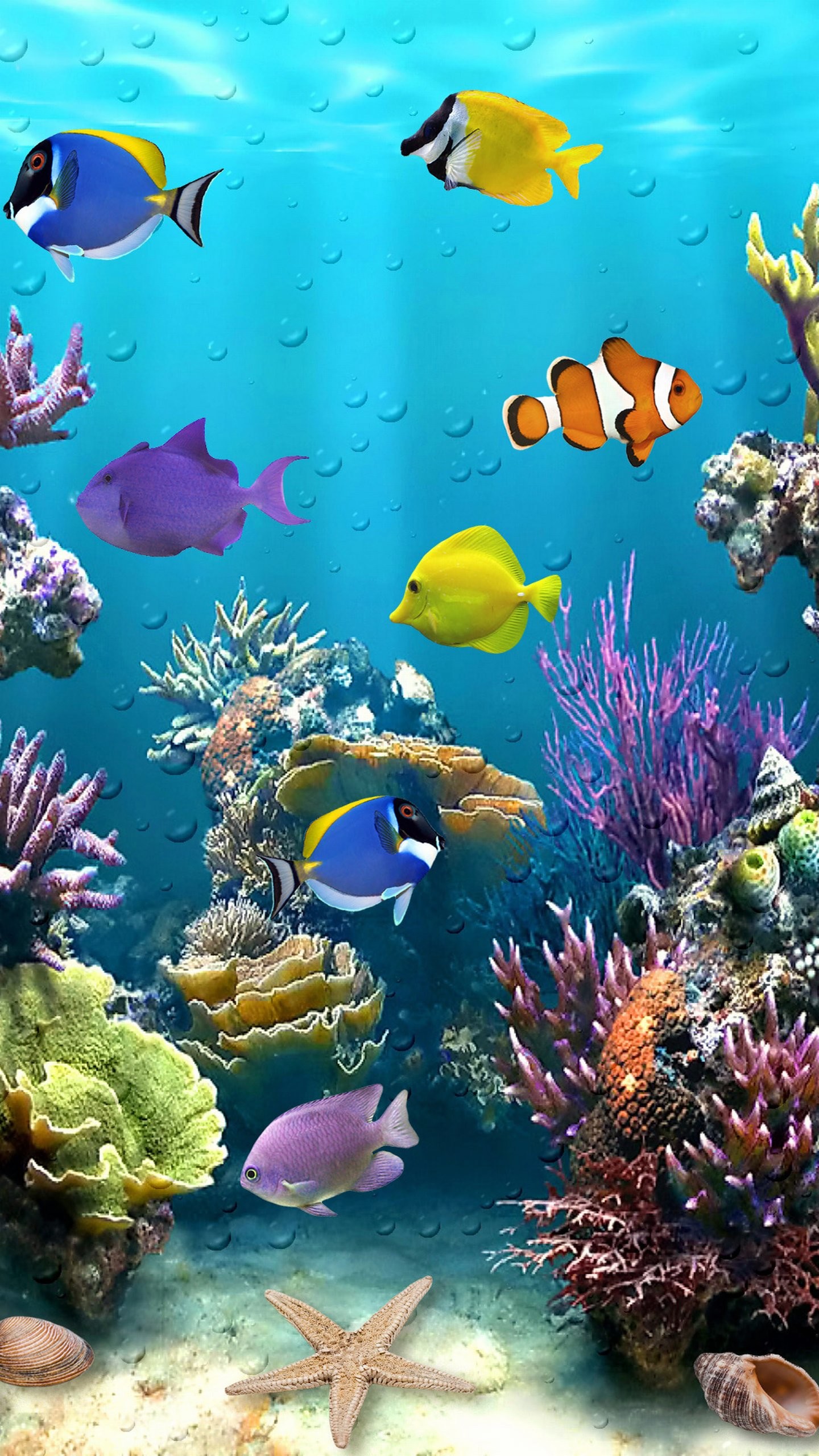 Barriera corallina, Pesci tropicali, Pesce pagliaccio, Acquario, wallpaper LG G4