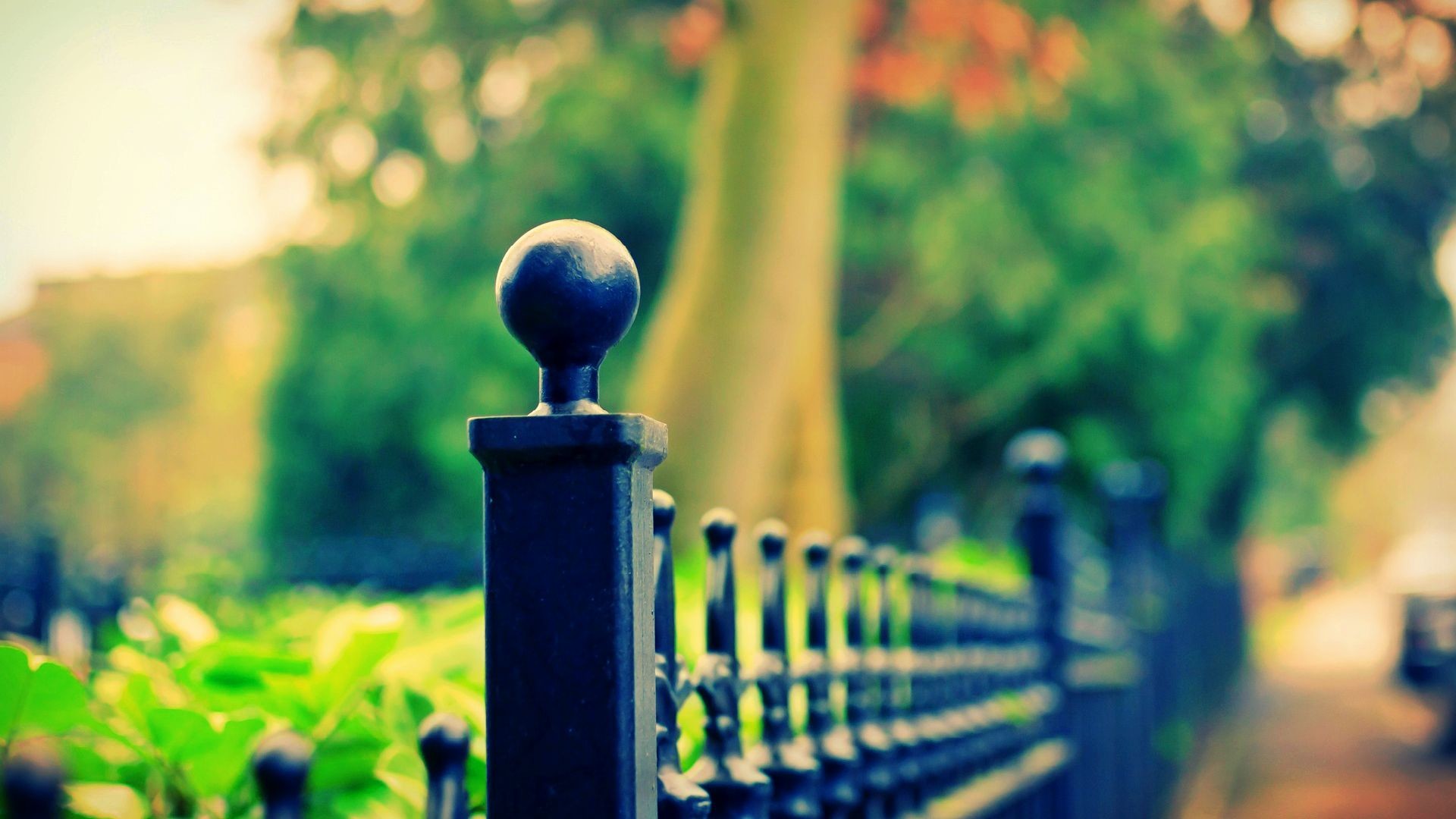 Ringhiera, Bokeh, Parco, Verde, Full HD, sfondo desktop