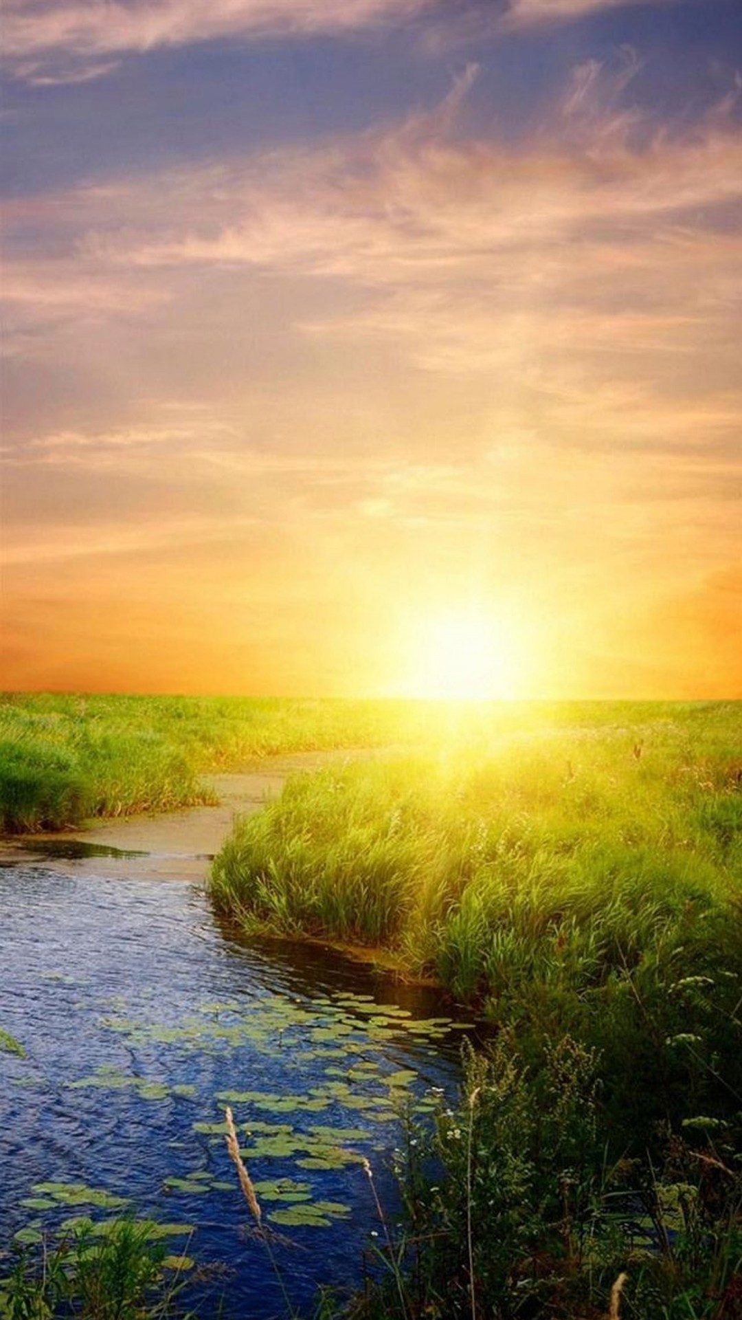 Tramonto, Ruscello, Prato, Sole, sfondo per iPhone e Android