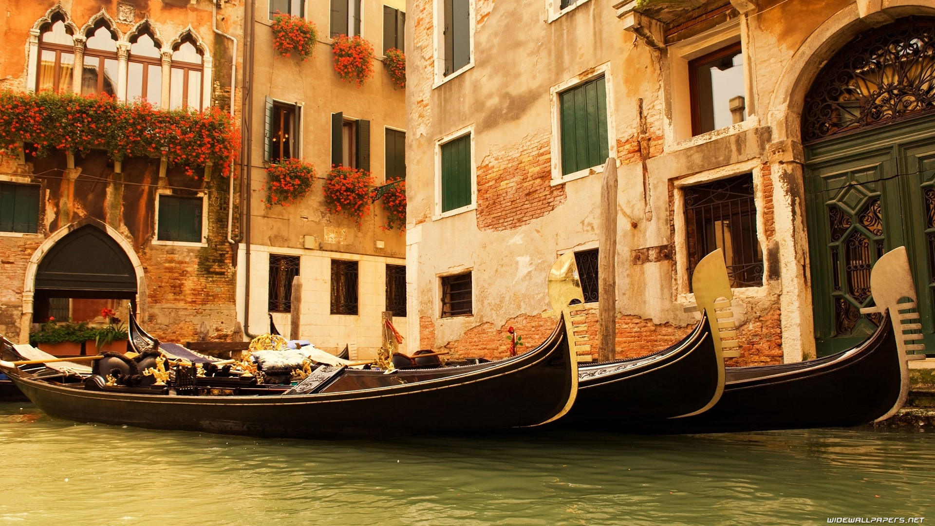 Venezia, Gondole, Canale, Palazzi, Gerani, Full HD, sfondo desktop