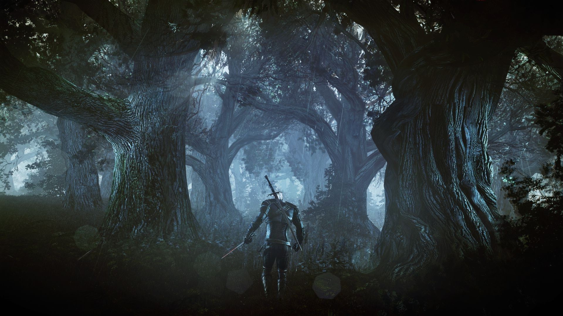 Geralt di Rivia, The Witcher 3: Wild Hunt, Foresta, Alberi giganti, sfondo desktop 1080p