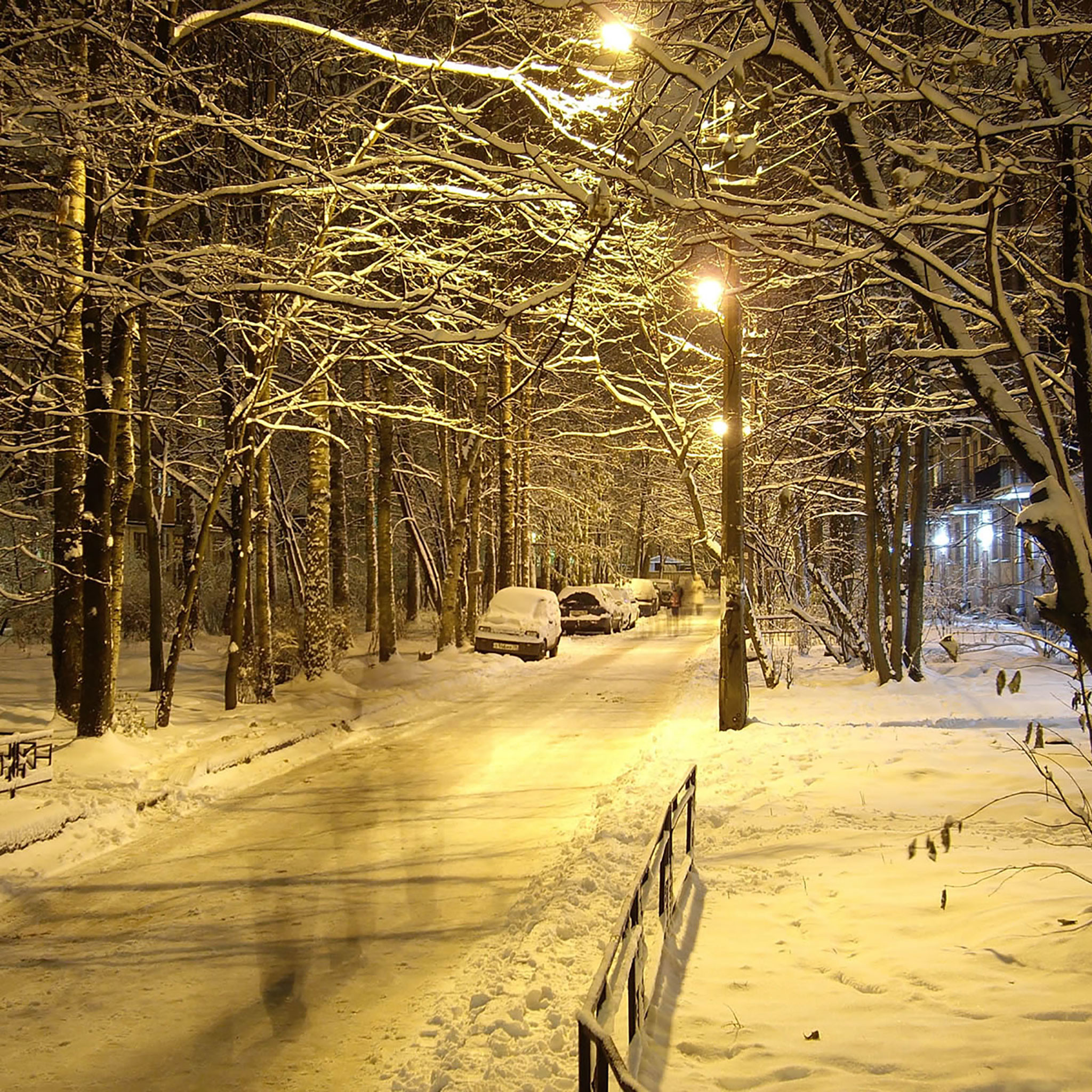 Viale, Lampioni, Notte, Neve, Full HD, schermata di blocco iPad