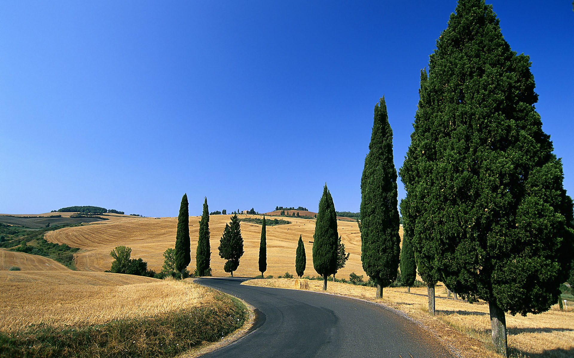 Toscana, Cipressi, Strada di campagna, Colline, Italia, sfondo per Windows 7