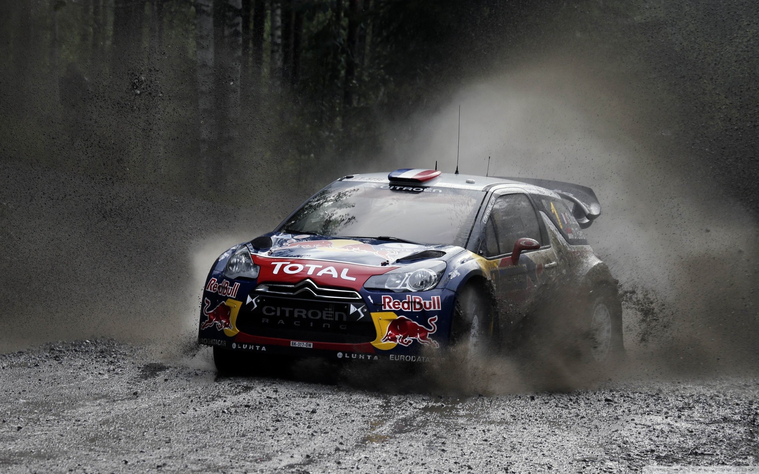 Citroën DS3 WRC, Red Bull, Rally, Polvere, 2560x1600, immagine di sfondo