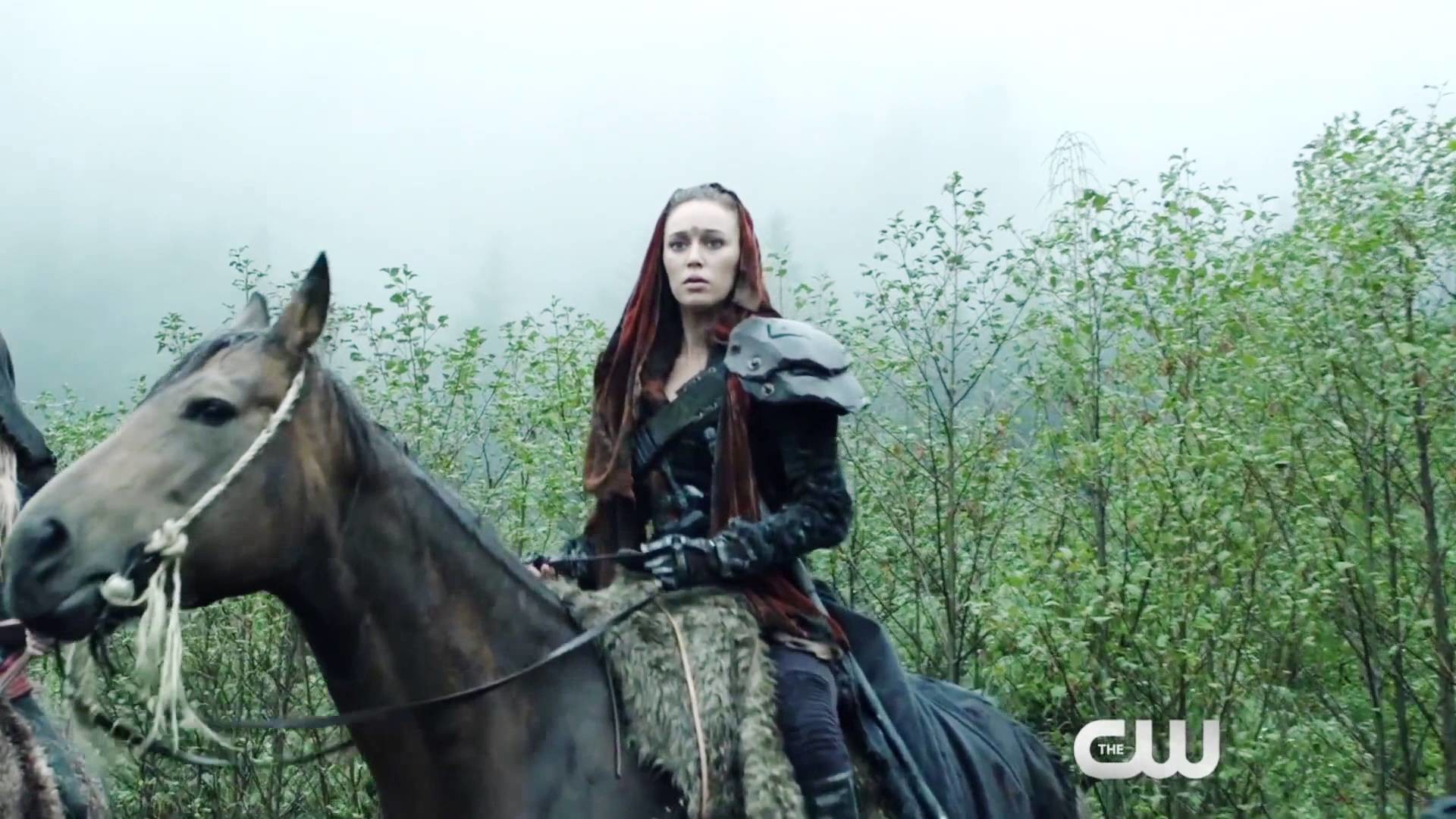 The 100, Cavallo, Foresta, The CW, Full HD, sfondo per portatile