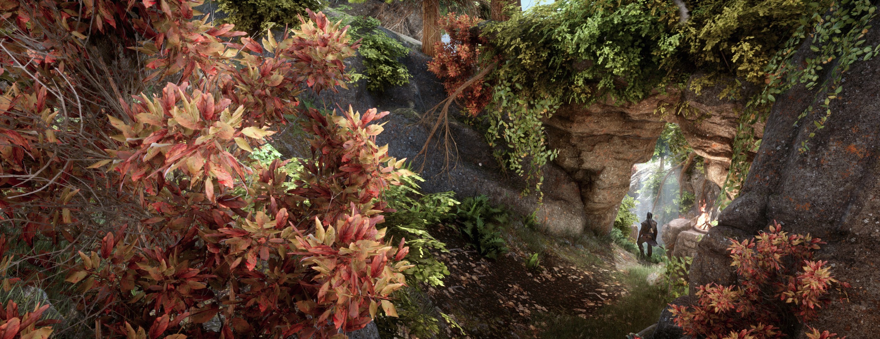 Dragon Age: Inquisition, Vegetazione, Cascata, Paesaggio, 2K, sfondo Windows 11
