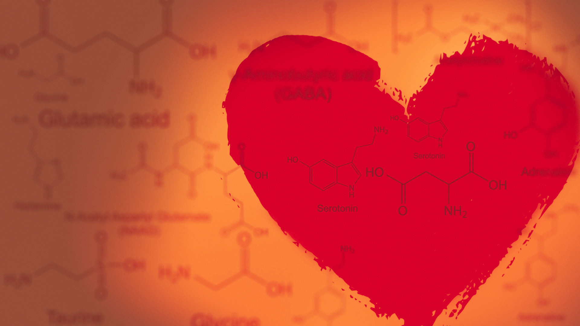 Cuore, Acido glutammico, Formule di struttura, Rosso, 1920x1080, sfondo per PC