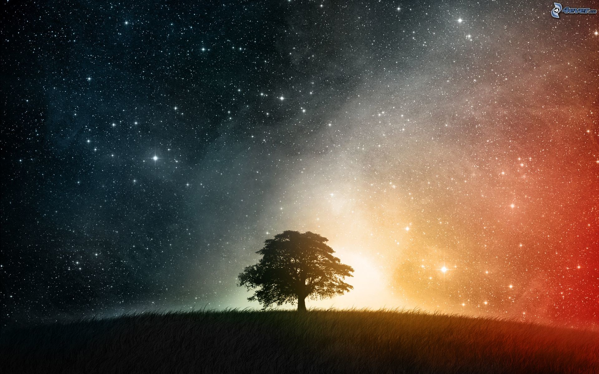 Albero, Cielo stellato, Collina, Notte, 1920x1200, sfondo MacBook Pro