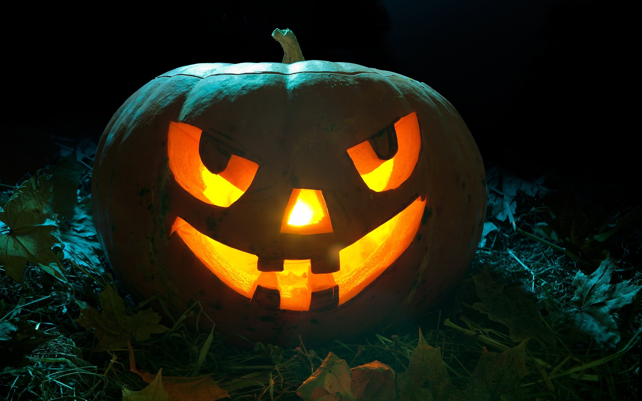 Jack-o'-lantern, Zucca intagliata, Notte, Primo piano, 2K, sfondo per PC e portatile