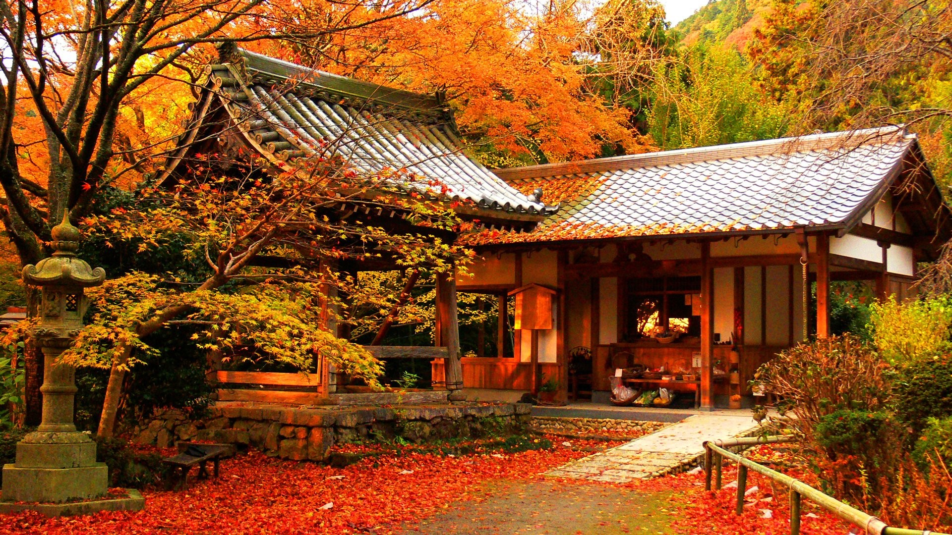 Giappone, Casa tradizionale, Autunno, Foglie arancioni, 16:9 Full HD, sfondo widescreen