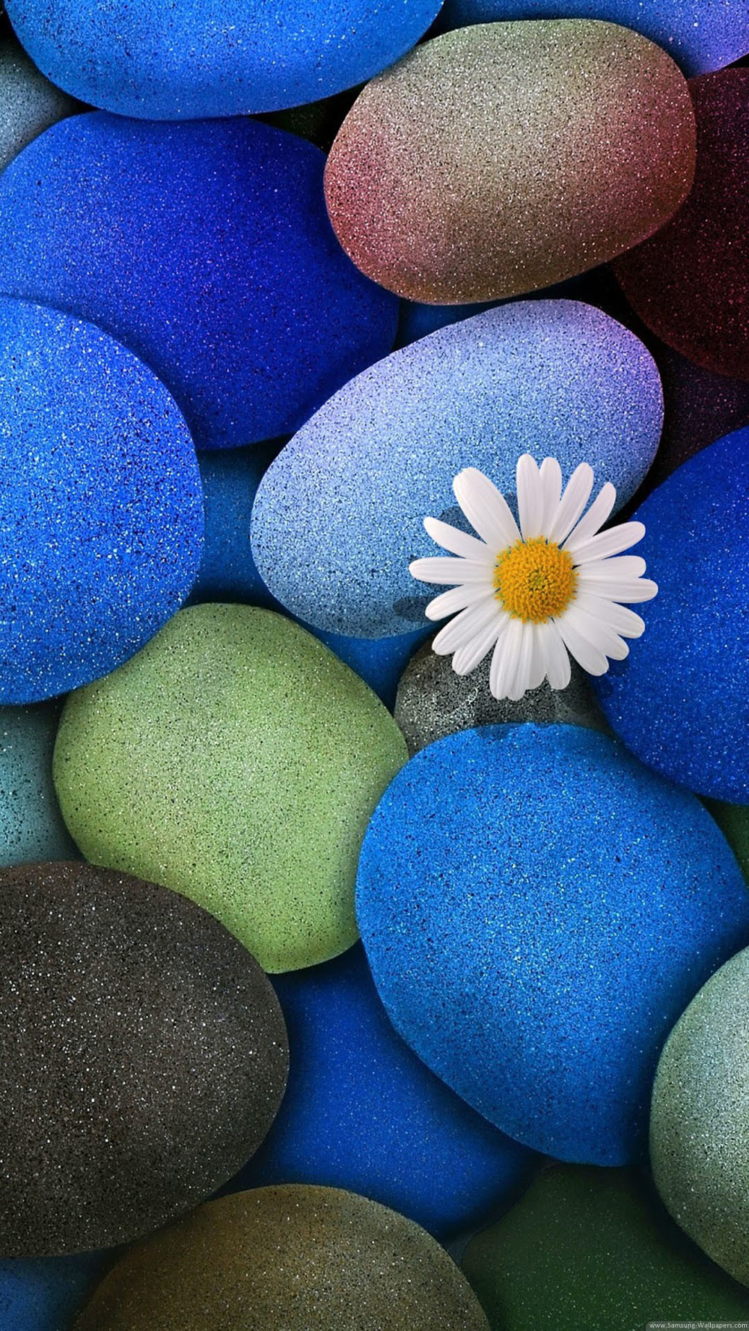 Sassi colorati, Margherita, Ciottoli blu, wallpaper Samsung S26