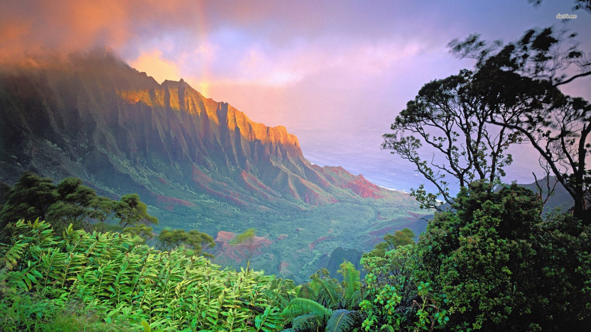 Valle di Kalalau, Kauai, Hawaii, Montagne, Foresta, Full HD, sfondo per PC e portatile