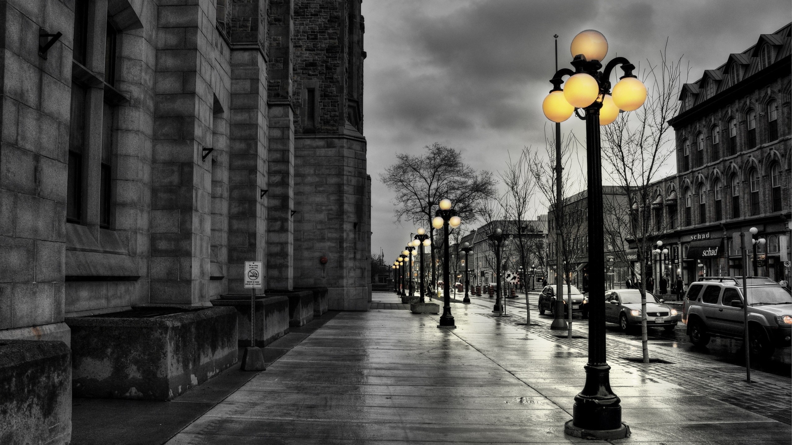 Strada, Lampioni, Pioggia, Bianco e nero, 2560x1440, sfondo per PC