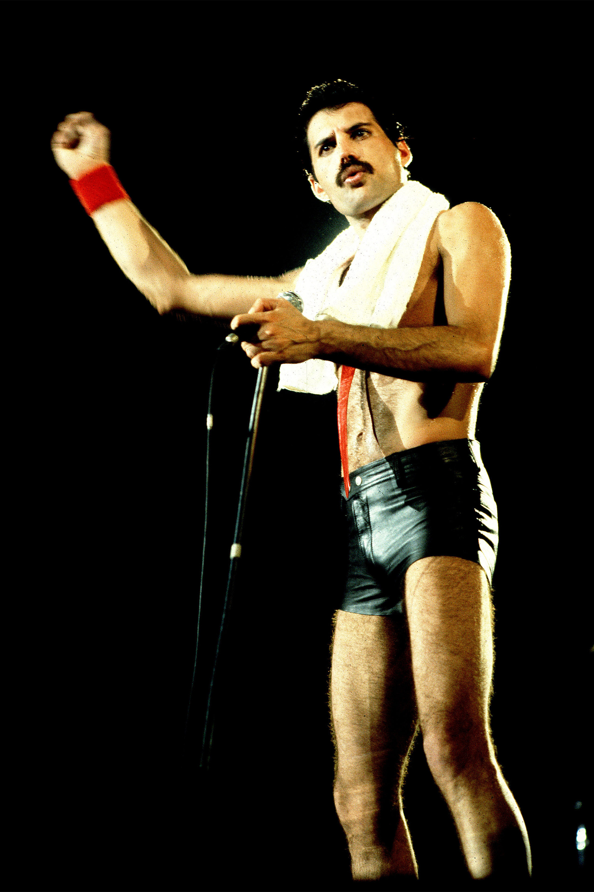 Freddie Mercury, Queen, Concerto, Asciugamano, QHD+, sfondo verticale per cellulare