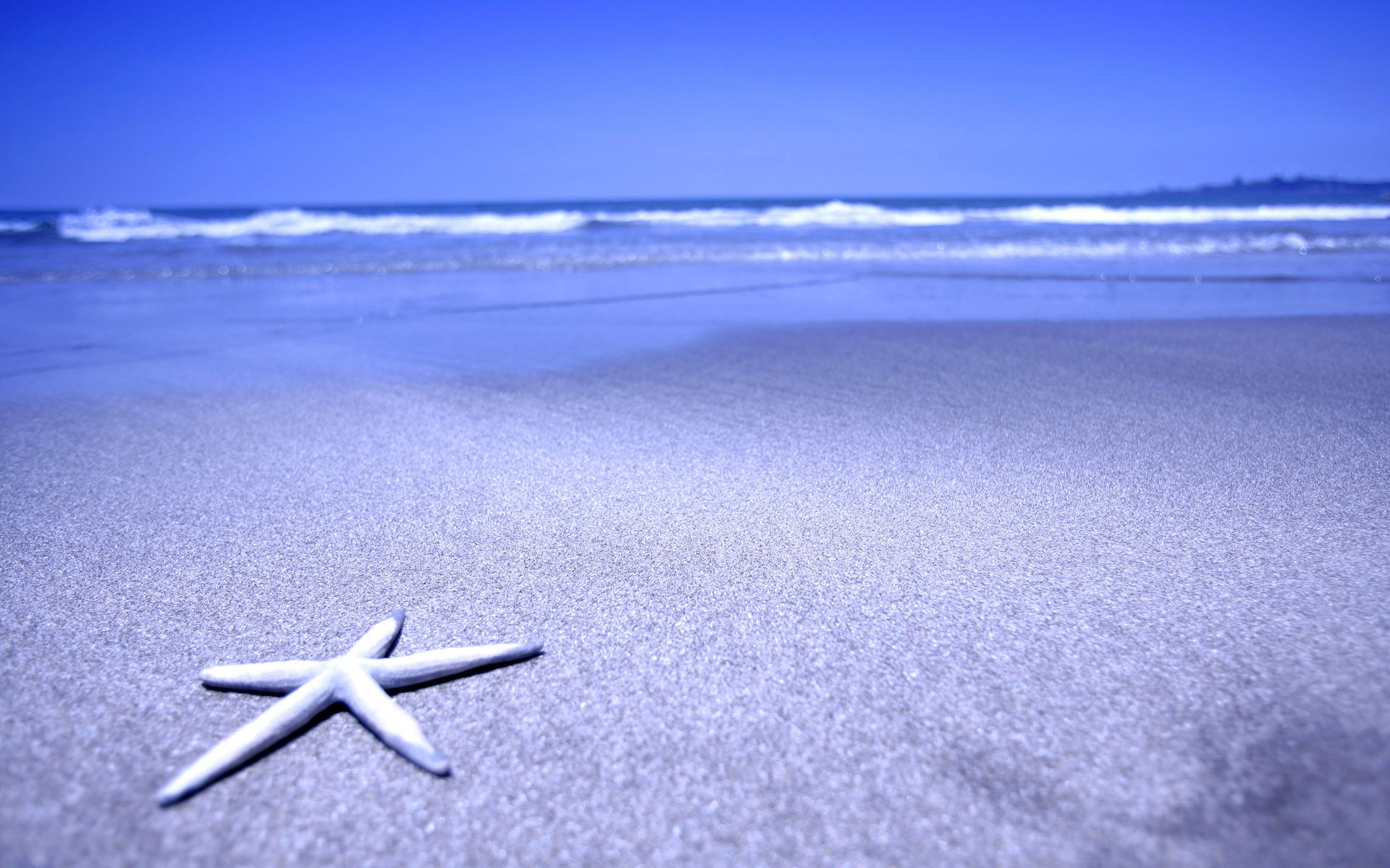 Stella marina, Spiaggia, Mare, Blu, Full HD, wallpaper per portatile