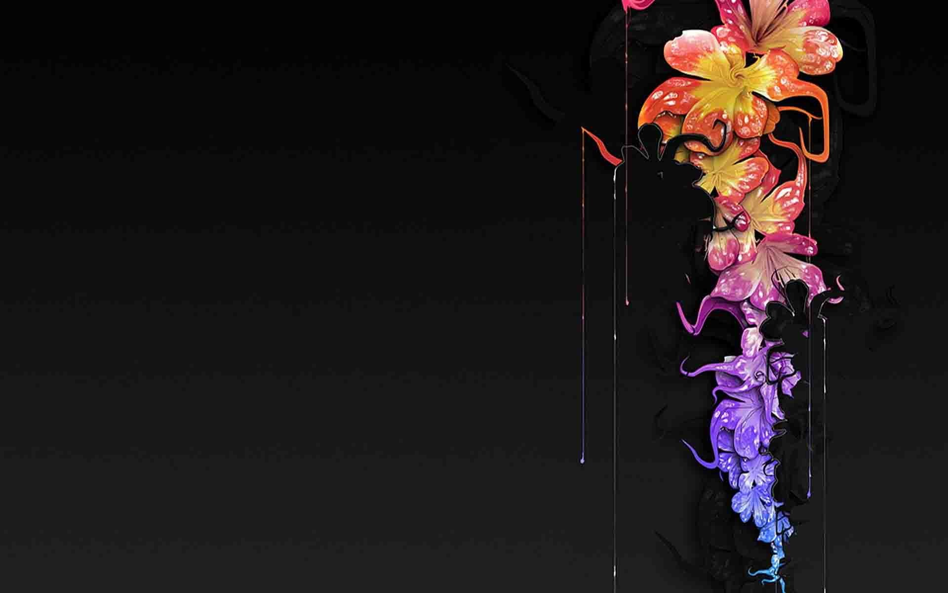 Fiori colorati, Sfondo nero, 16:10 Full HD, wallpaper widescreen