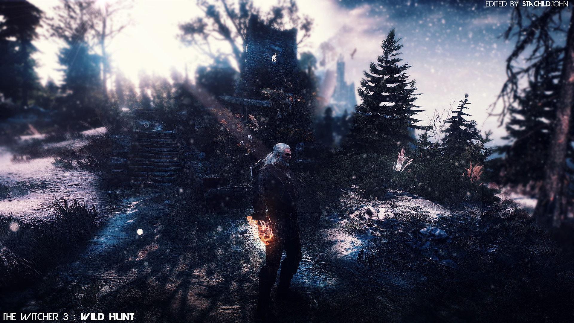 Geralt di Rivia, The Witcher 3: Wild Hunt, Foresta, Notte, Full HD, sfondo Windows 11