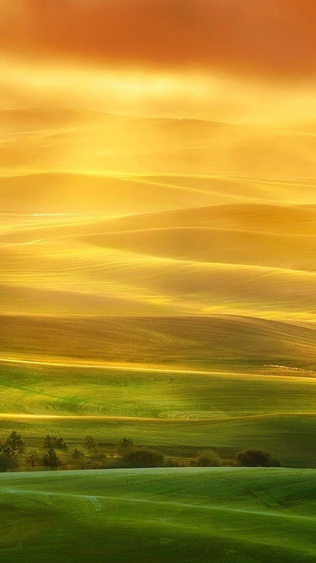 Colline, Prato, Giallo, Nebbia, sfondo iPhone 5 verticale