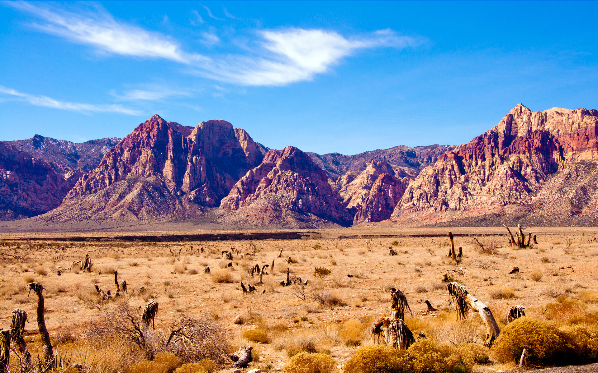 Red Rock Canyon, Nevada, Montagne, Alberi di Joshua, Mojave, Full HD, wallpaper per PC