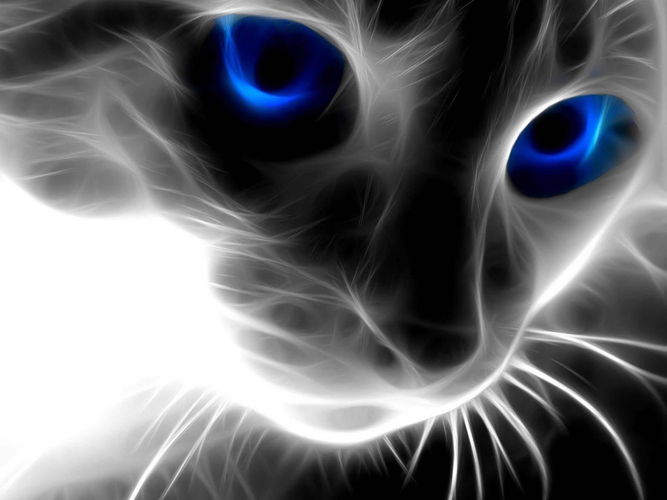 Gatto, Occhi blu, Arte frattale, Bianco e nero, 2K, sfondo per iPad e tablet