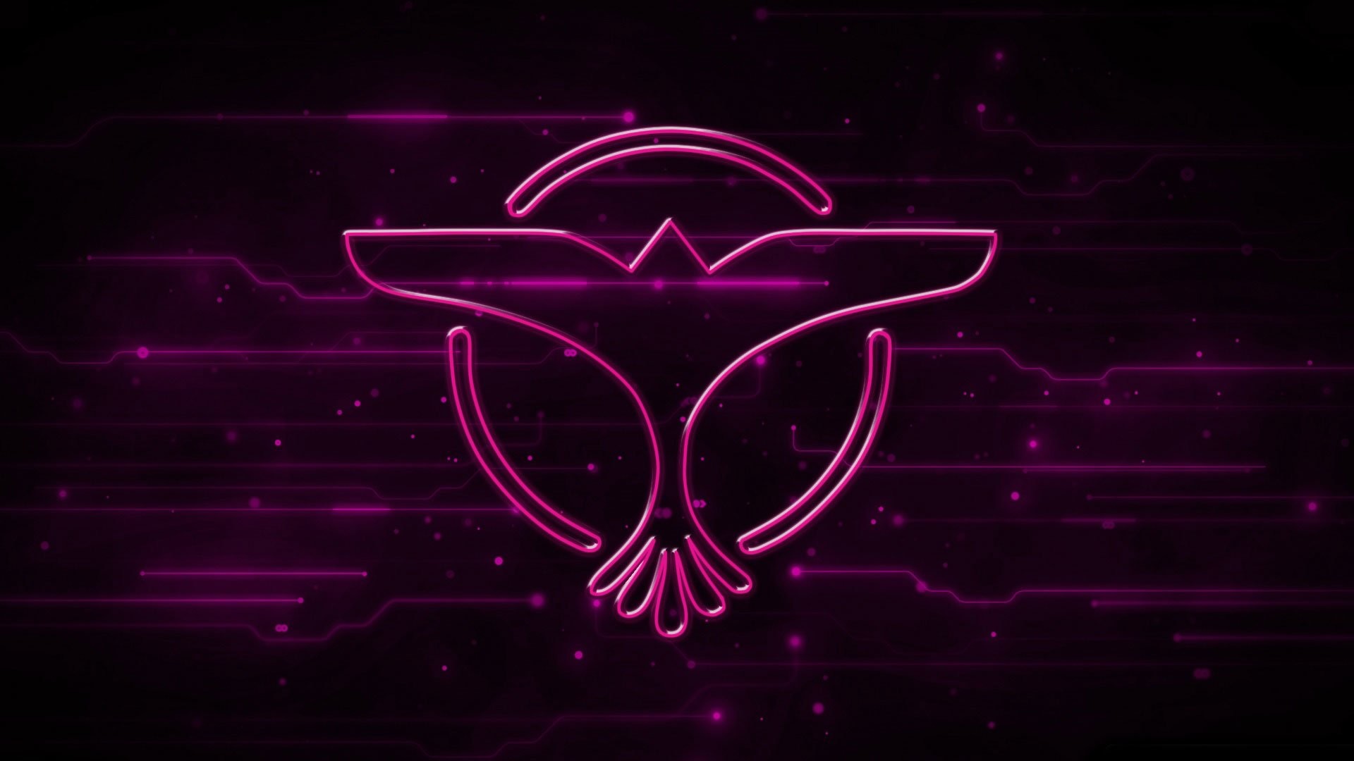 Logo Tiësto, Tiësto, Neon rosa, Sfondo scuro, Full HD, wallpaper per computer