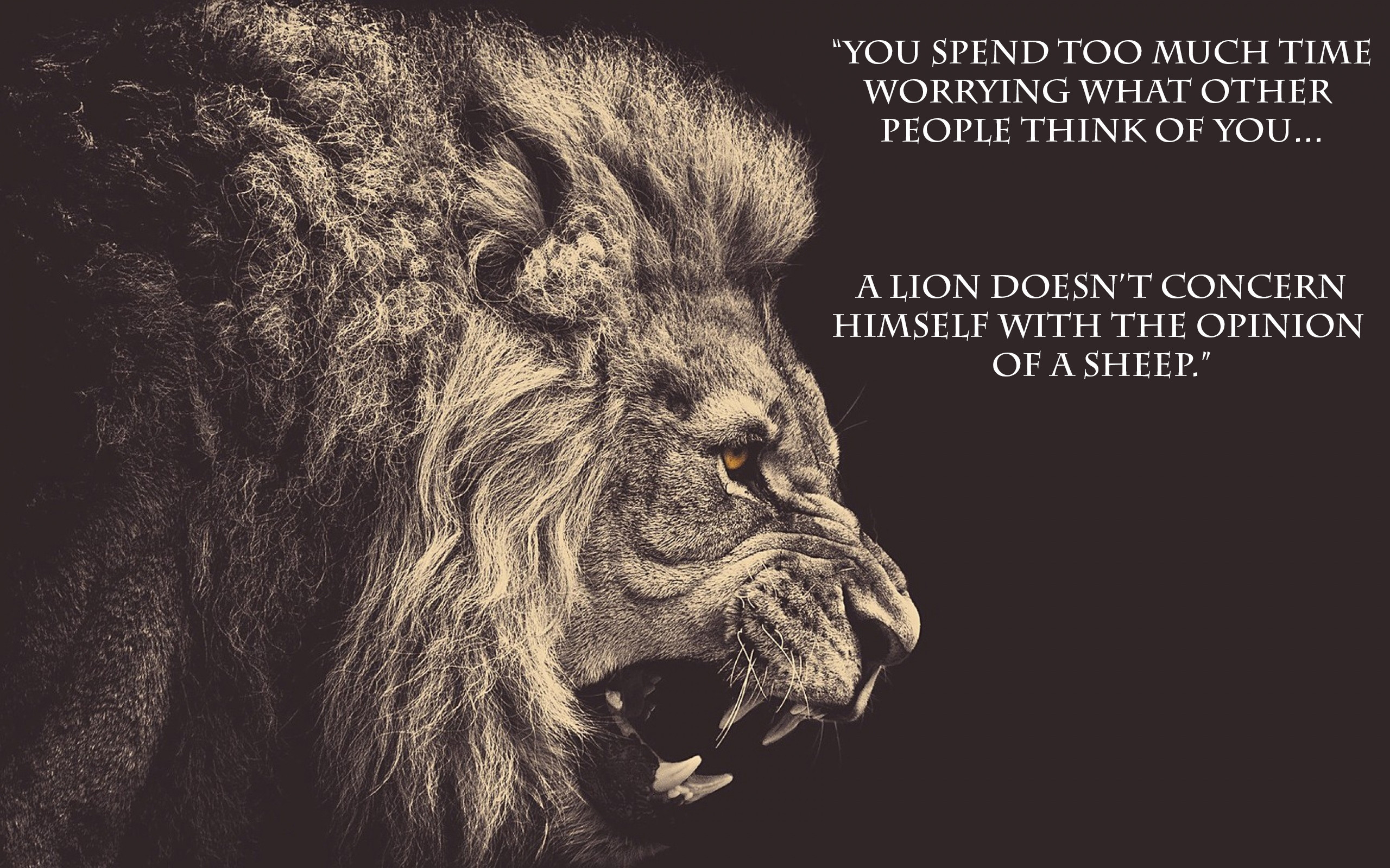 Leone, Citazione, Ruggito, Seppia, Ritratto animale, 2560x1600, immagine di sfondo