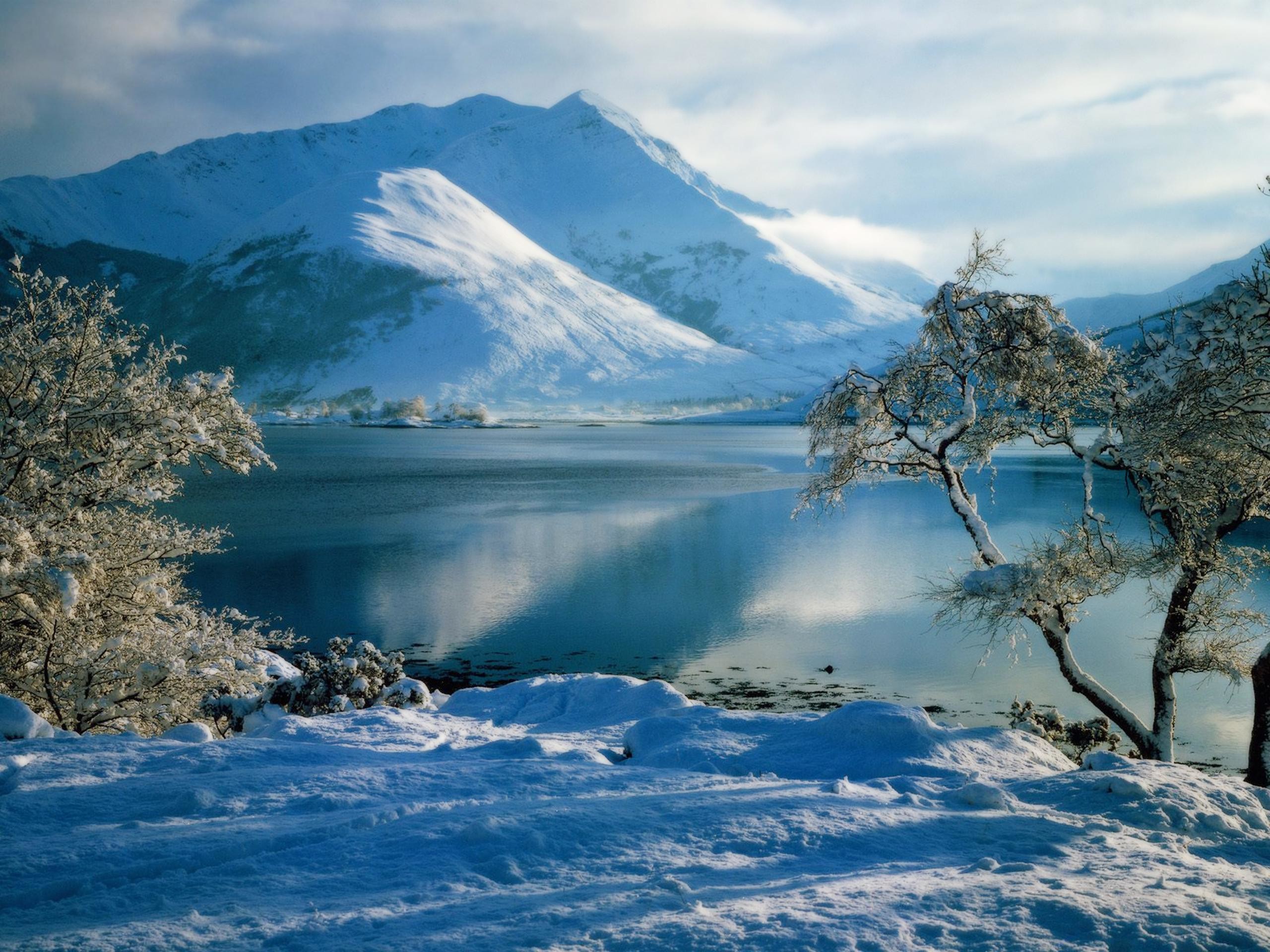 Lago, Montagna innevata, Alberi ghiacciati, Inverno, sfondo 2K per desktop