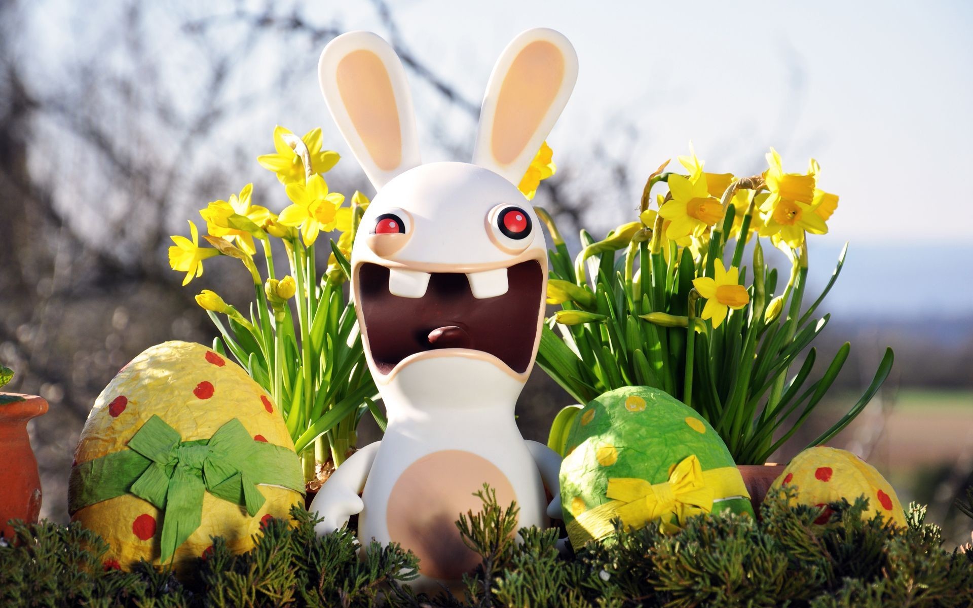 Rabbids, Raving Rabbids, Uova di Pasqua, Narcisi, 16:10 Full HD, sfondo widescreen