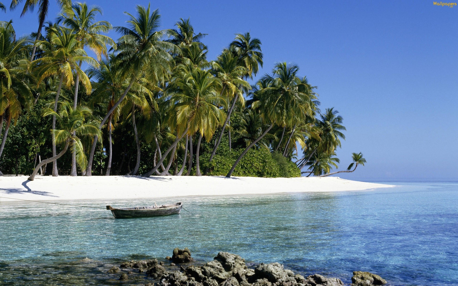Isola tropicale, Palme, Barca, Spiaggia, Mare, 1920x1200, sfondo MacBook Pro