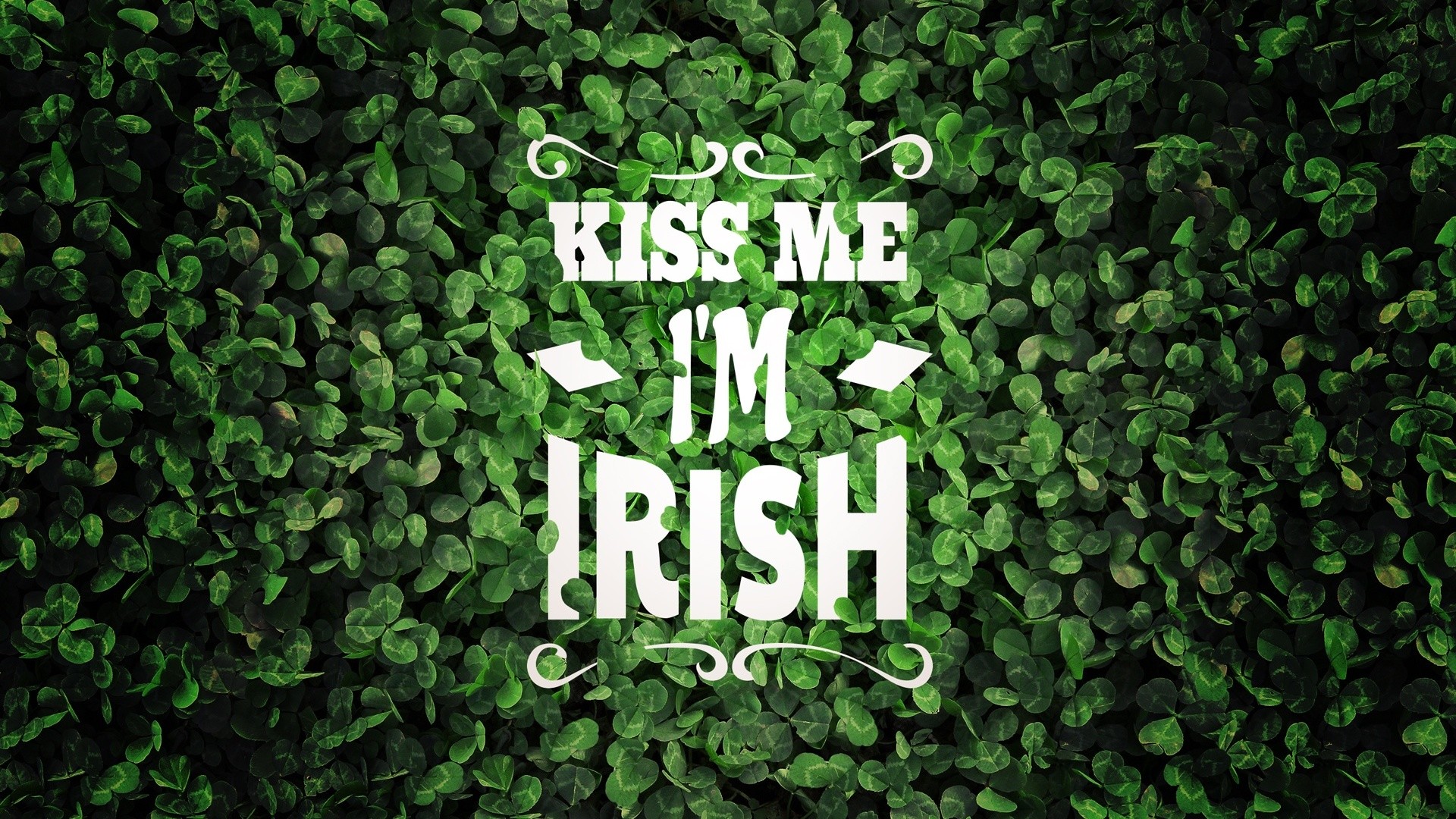 Kiss Me I'm Irish, Trifoglio, San Patrizio, Verde, Full HD, sfondo desktop
