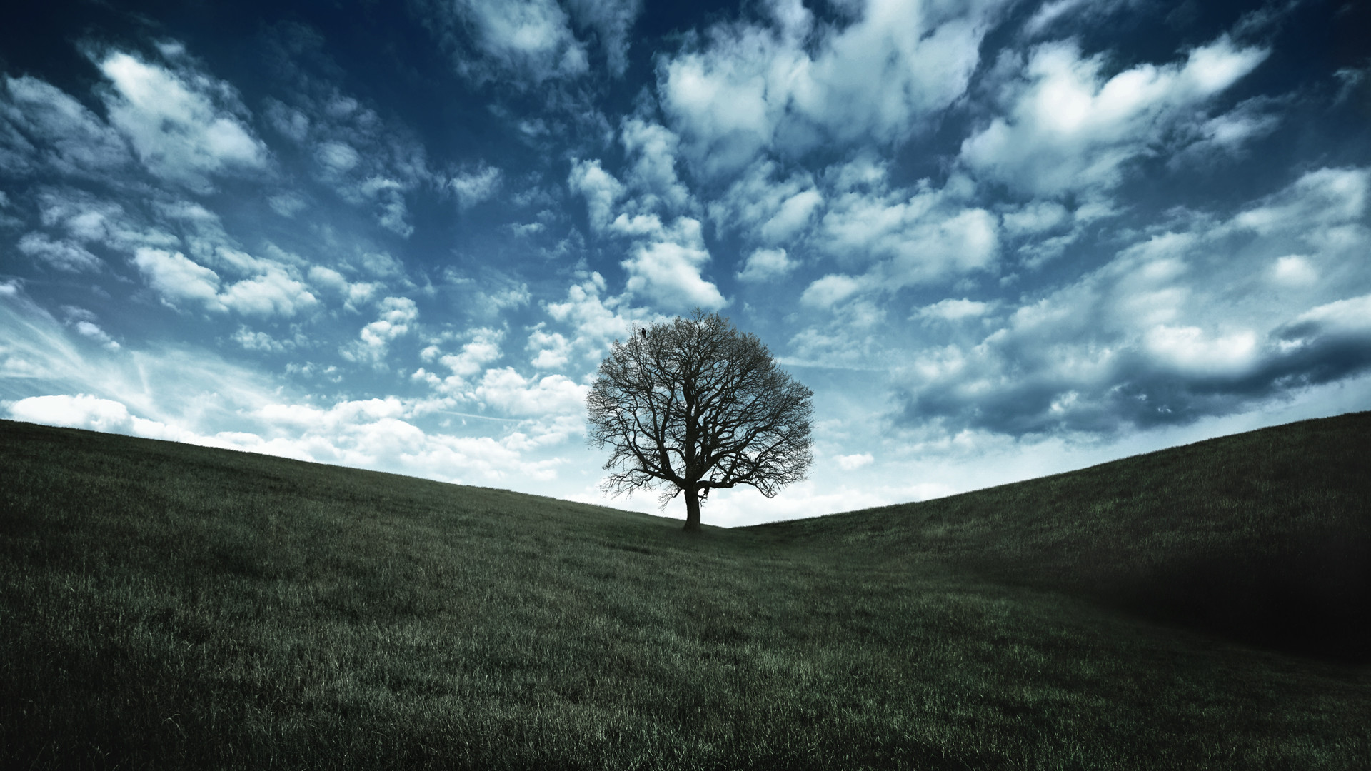 Albero solitario, Collina, Nuvole, Cielo drammatico, 1920x1080, wallpaper desktop
