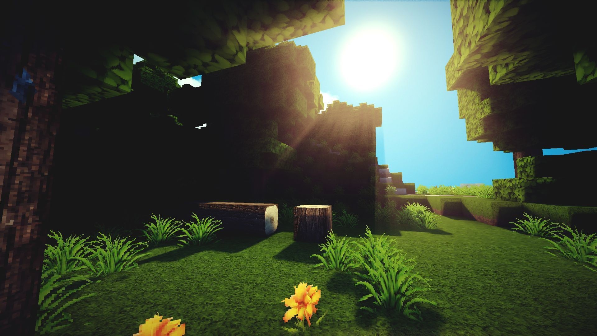 Minecraft, Foresta, Sole, Shader, Fiori, 1920x1080, sfondo per PC