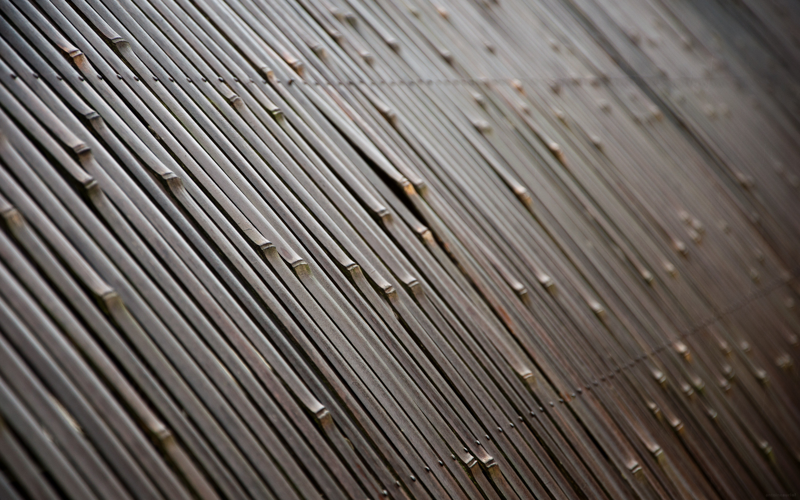 Texture, Metallo, Gocce d'acqua, Macro, 2560x1600, sfondo MacBook Pro