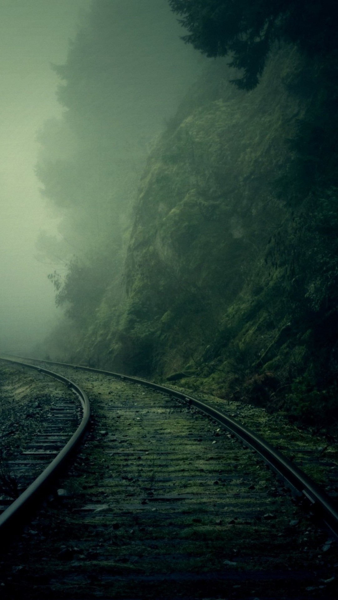 Binari, Foresta, Nebbia, wallpaper iPhone