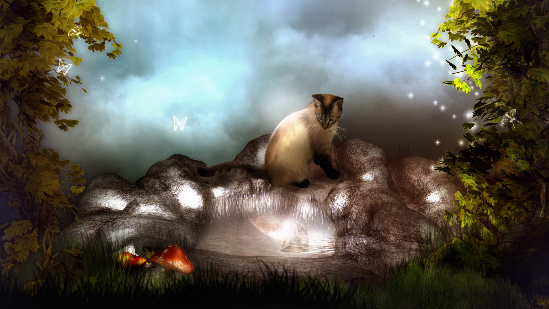 Gatto, Rocce, Funghi, Fiaba, Nebbia, Fantasy, 1920x1080, sfondo per PC