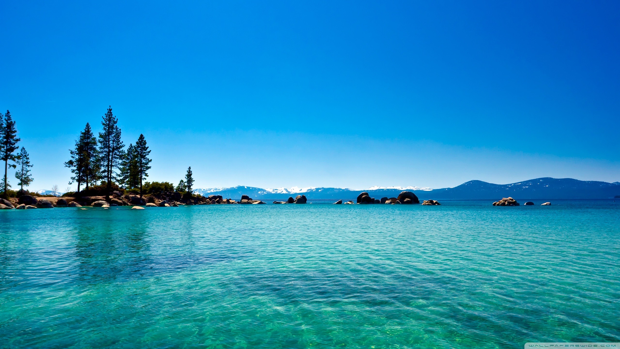Lake Tahoe, California, Acqua turchese, Pini, Cielo azzurro, 16:9 2K, sfondo widescreen