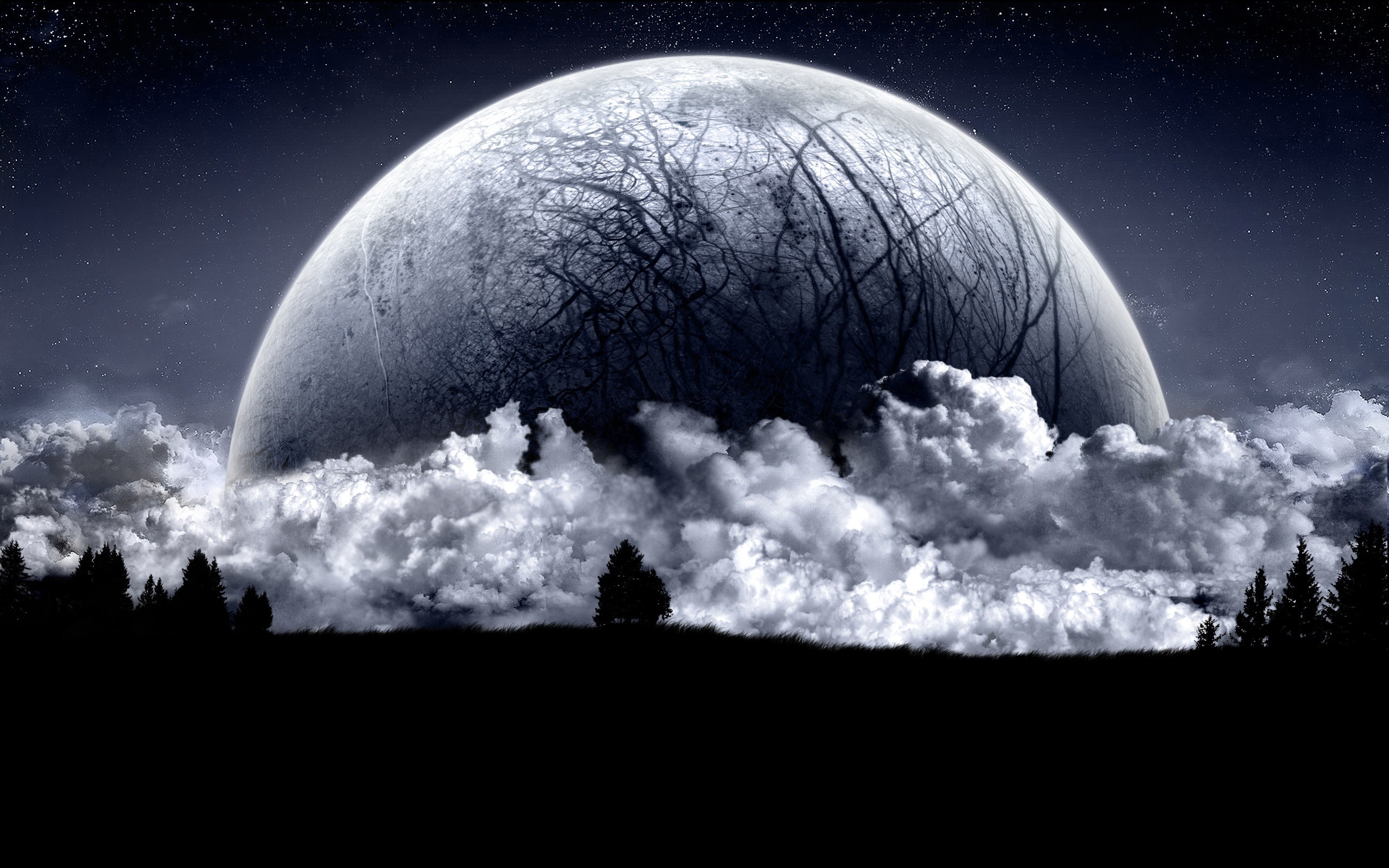Luna gigante, Nuvole, Silhouette alberi, Bianco e nero, 2560x1600, sfondo per PC
